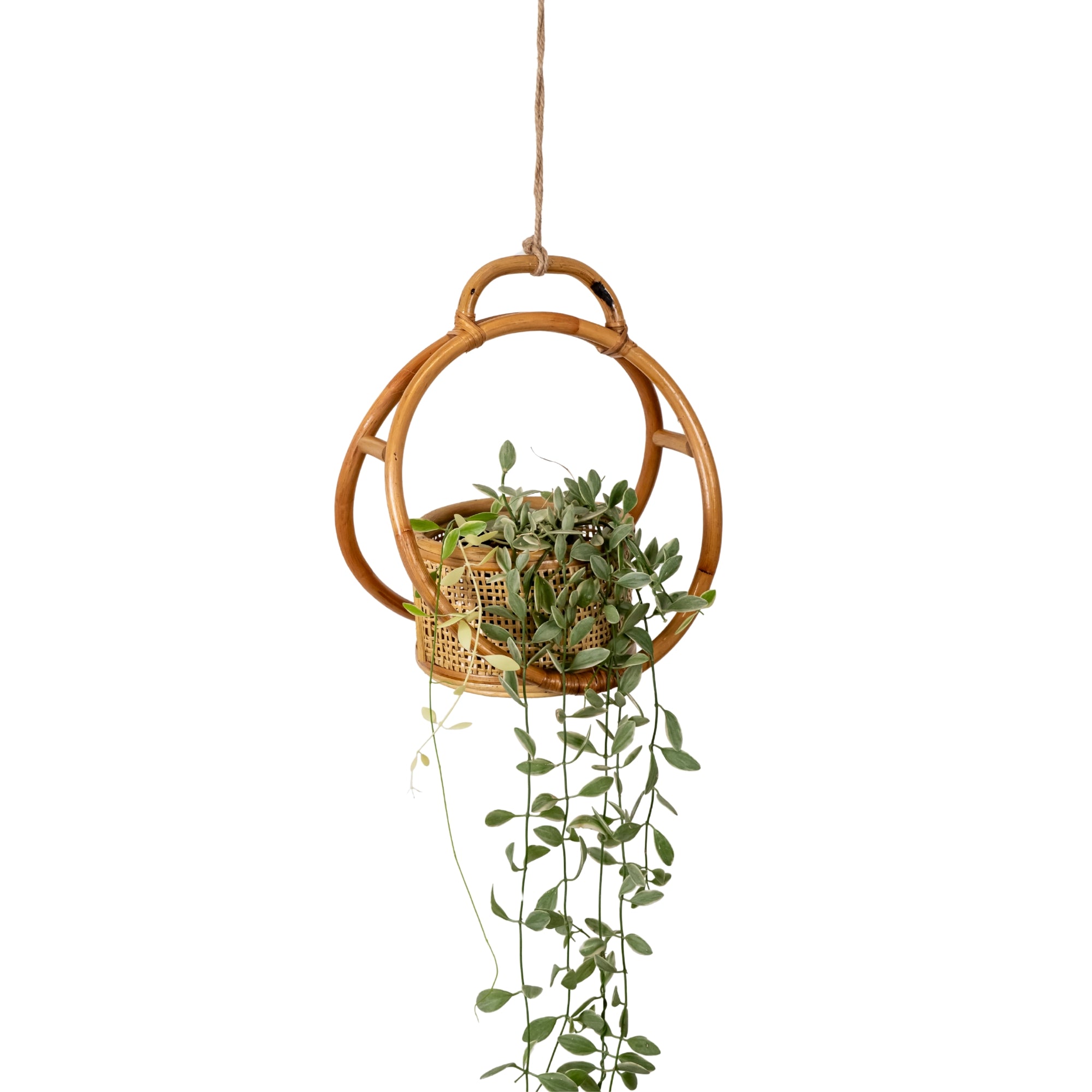 hanging rattan planter Dorothy Rattan Planter – Urban Greenhouse