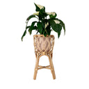 Vali Plant Stand