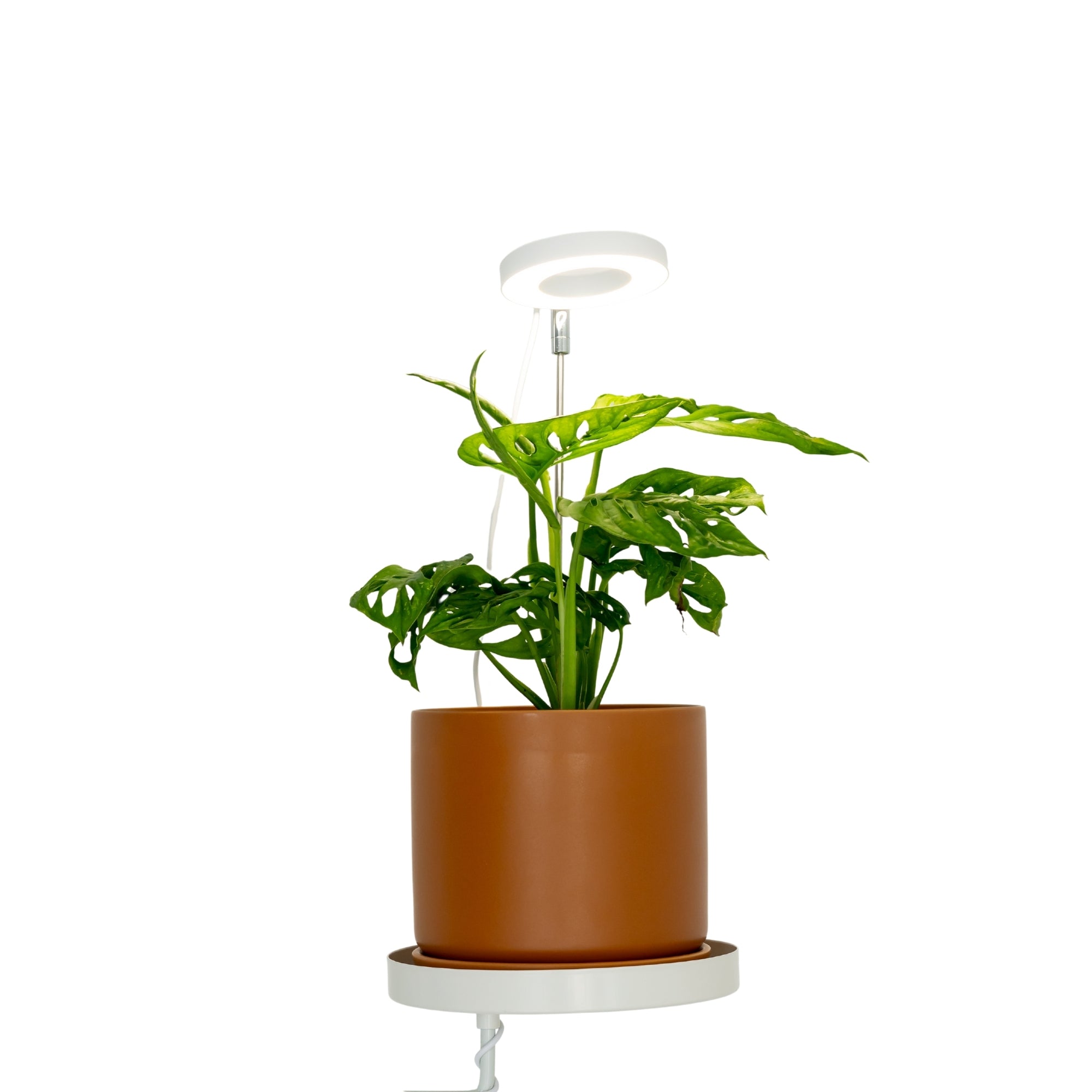 free standing plant grow lights Indoor Grow Light with Telescopic Stem