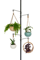 Tension Plant Pole With Hooks - Black