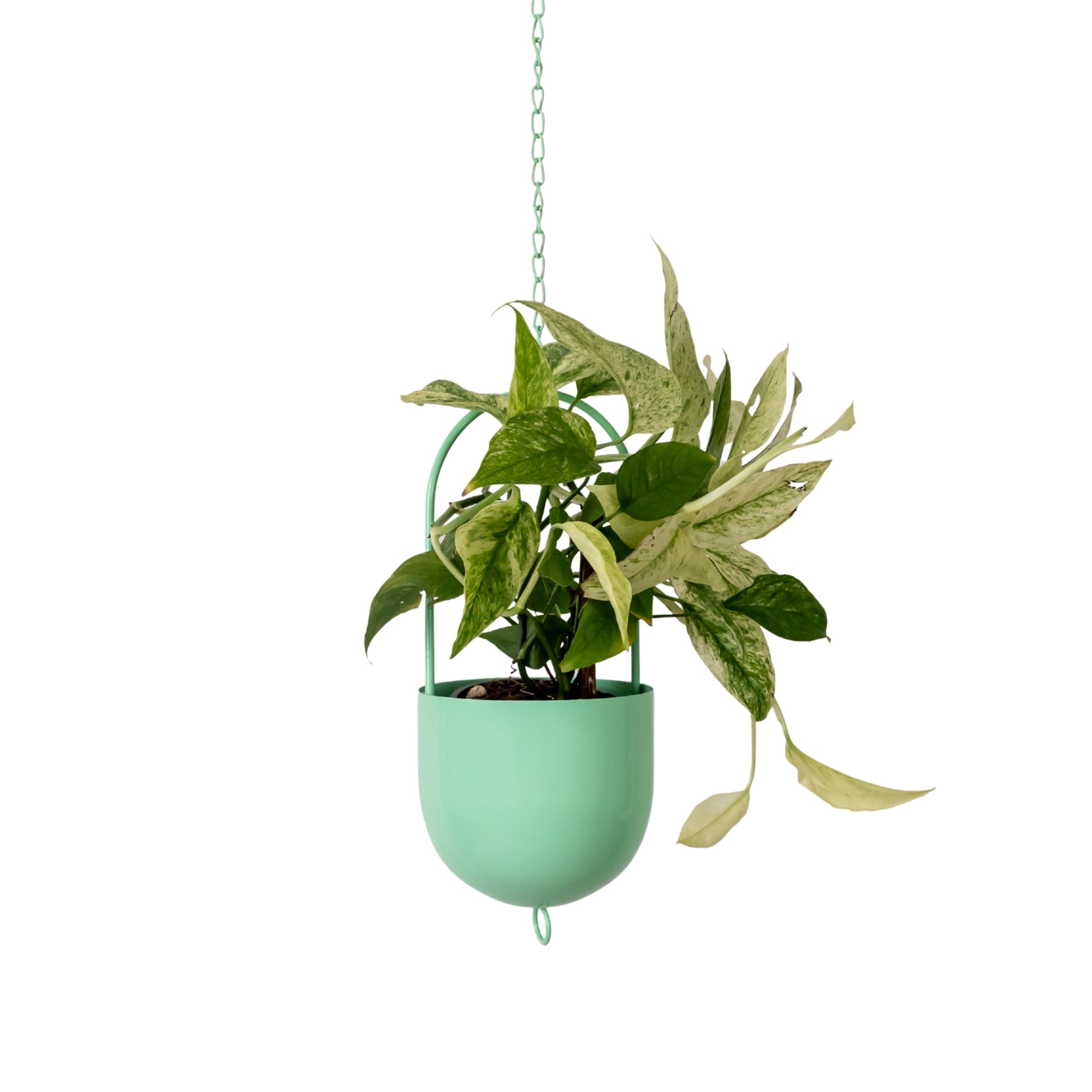 Metal Hanging Planter