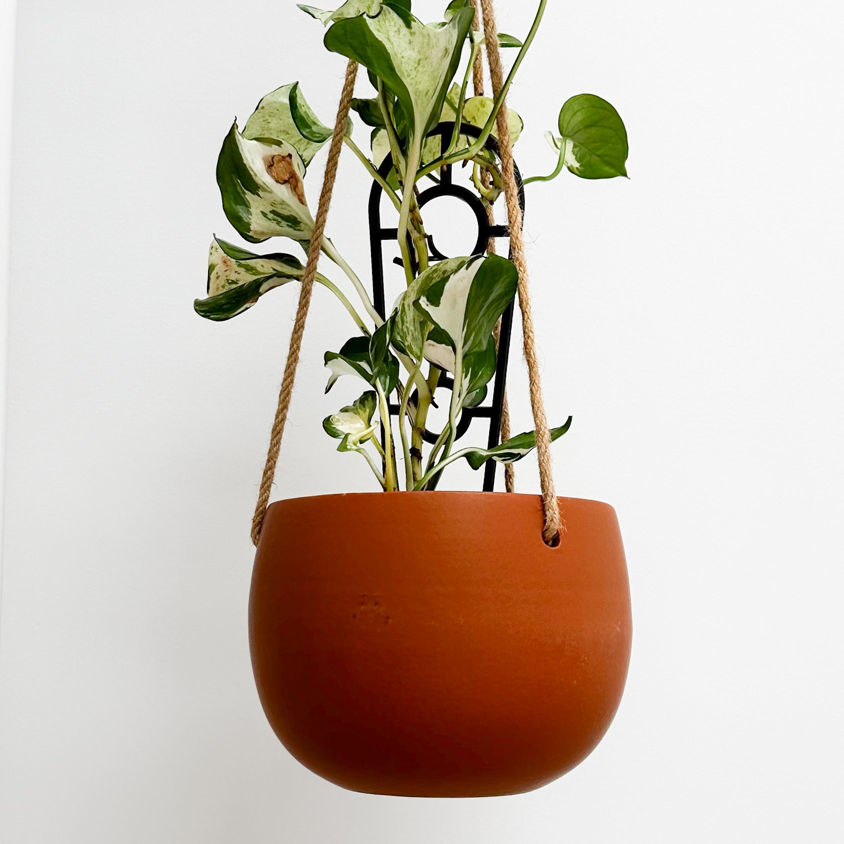 Ceramic Hanging Planter, Terracotta Plant Pot for live offers house plants