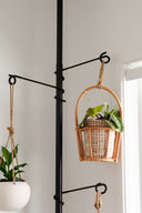 Tension Plant Pole With Hooks - Black