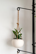 Tension Plant Pole With Hooks - Black