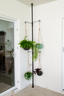 Tension Plant Pole With Hooks - Black