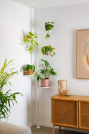 Plant Poles