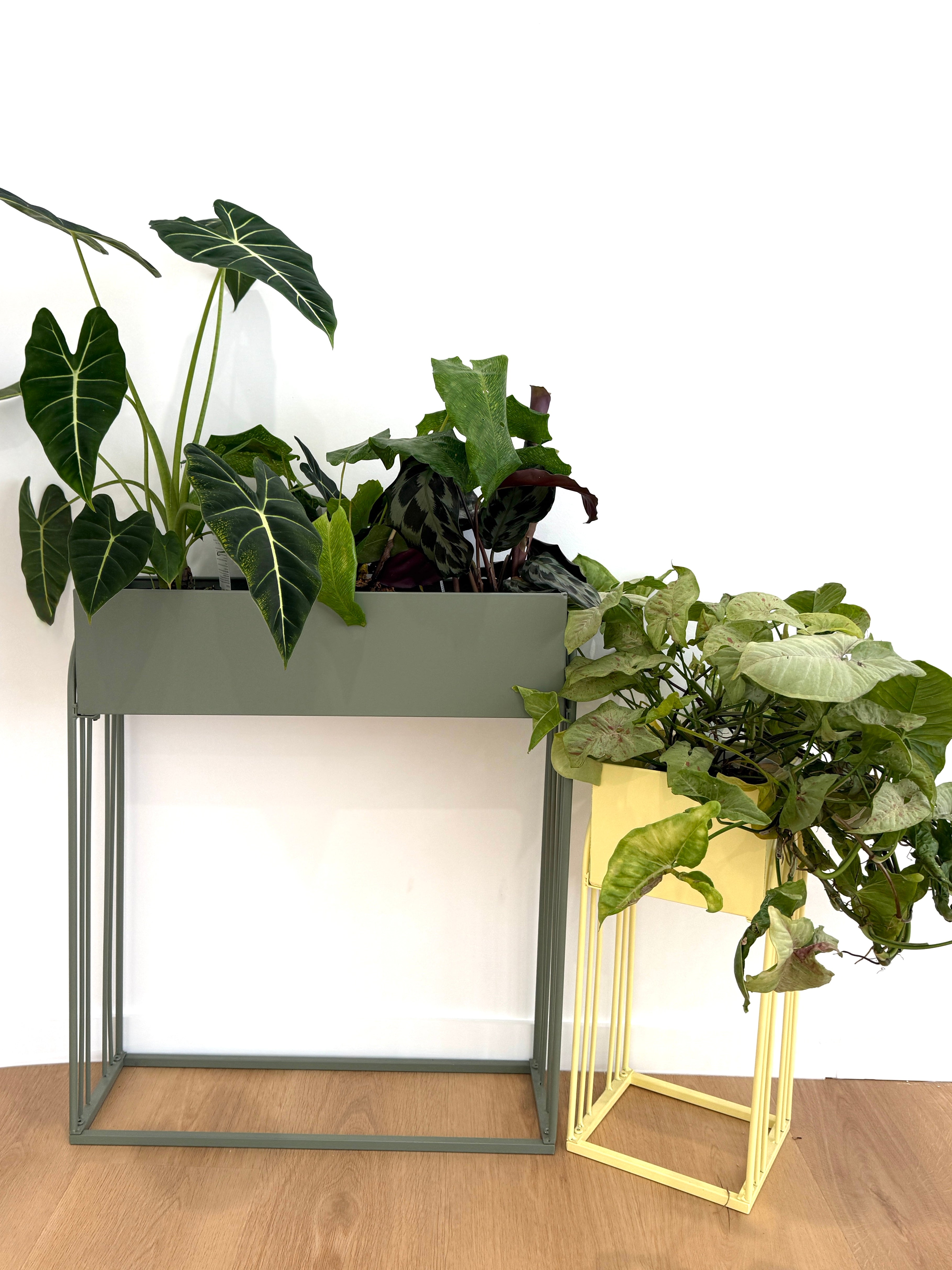 free standing hanging plant stand Metal Plant Stand Bundle – Urban Greenhouse