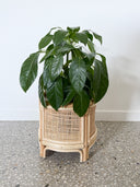 Bambi Round Rattan Plant Stand