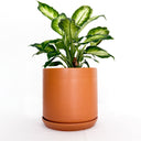Oslo Cinnamon Large Decorative Planter