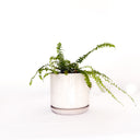 Oslo Sandstorm Medium Decorative Planter