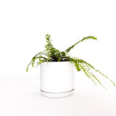 Oslo Medium Ice White Decorative Planter