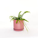 Oslo Dusty Rose Medium Decorative Planter