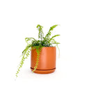 Oslo Cinnamon Medium Decorative Planter