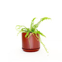 Oslo Brick Medium Decorative Planter