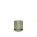 Oslo Eucalypt Small Decorative Planter