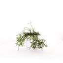 Oslo Ice White Small Decorative Planter