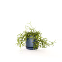 Oslo Small Navy Decorative Planter
