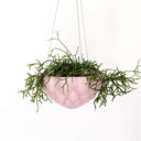 Jelly Hanging Planter - Pink
