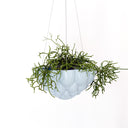 Jelly Hanging Planter - Blue