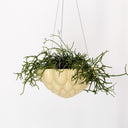 Jelly Hanging Planter - Yellow
