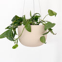 Raw Earth - Medium Hanging Planter Clay