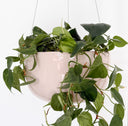 Glazed Earth - Large Hanging Bowl Pink Rock Salt