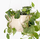 Glazed Earth - Large Hanging Bowl Speckled Clay