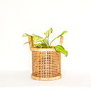 Lincoln Rattan Weave Basket