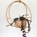 Betty Rattan Hanging Planter