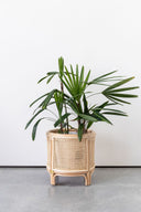 Bambi Round Rattan Plant Stand