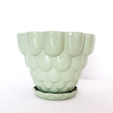 Jelly Planter - Green