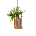 Lluka Rattan Planter