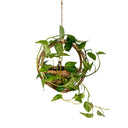 Isla Rattan Planter