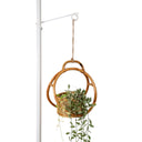 Dorothy Rattan Planter