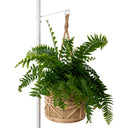 Sunny Hanging Rattan Planter