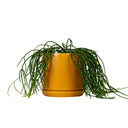 Oslo Tobacco Medium Decorative Planter