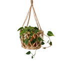 Coral Hanging Rattan Planter
