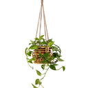 Lola Rattan Hanging Planter