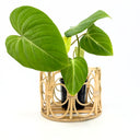 Pearl Rattan Planter
