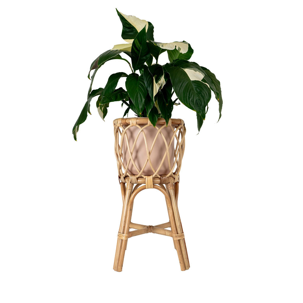rattan indoor plant stand Vali Plant Stand