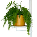 White Plant Pole Tray - Large - PREORDER