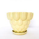 Jelly Planter - Yellow