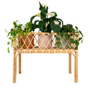 Coral Extra Large Planter Stand
