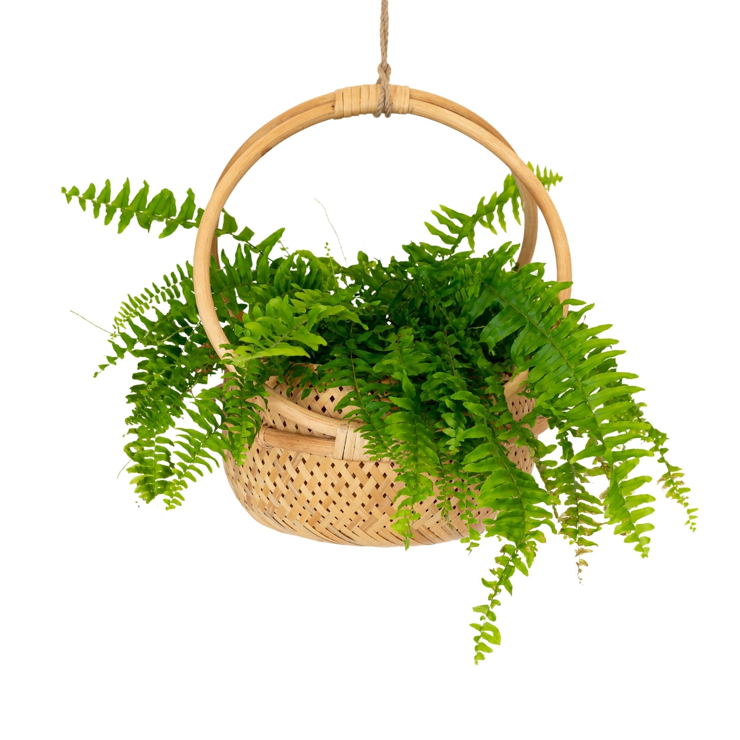 Elke Rattan Planter