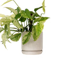 Oslo Sandstorm Medium Decorative Planter
