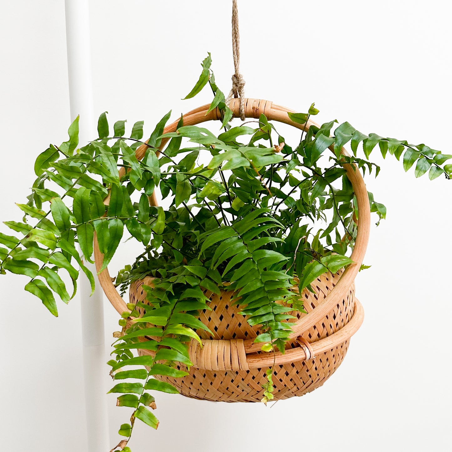 Elke Rattan Planter