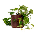 Oslo Brick Large Decorative Planter
