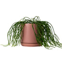 Oslo Dusty Rose Large Decorative Planter