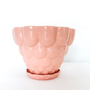 Jelly Planter - Peach