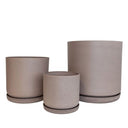 Portland Large Beachwood Set Of 3 Pots